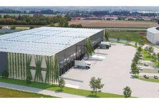Gewerbeimmobilie mieten in 52249 Eschweiler, "BAUMÜLLER AG" - sofort verfügbar - ca. 50.000 m² Hallenfläche -