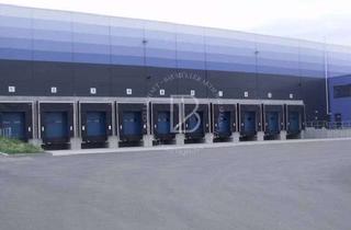 Gewerbeimmobilie mieten in 55291 Saulheim, "BAUMÜLLER AG" - 22.000 m² NEUBAU Logistikfläche - direkt an der A63