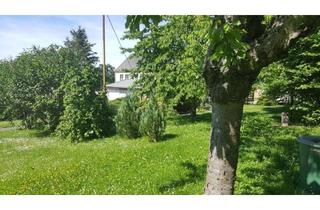 Grundstück zu kaufen in Oschitzer Straße 12b, 07907 Schleiz, Exklusives Baugrundstück in ruhiger, innerstätischer Lage mit schönem Gartenhaus!