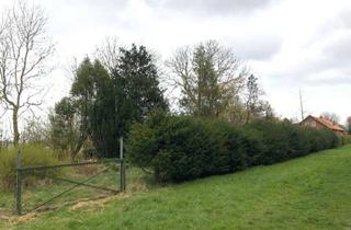 Grundstück zu kaufen in 26434 Wangerland, Hobbygrundstück - akt. als Garten genutzt - im Wangerland (an der Ortsgrenze zu Carolinensiel)