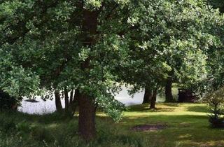 Einfamilienhaus kaufen in 08451 Crimmitschau, Einfamilienhaus mit Einliegerwohnung!+++0151-10658277---Nicole Bamberger+++