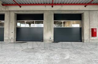 Gewerbeimmobilie mieten in 63517 Rodenbach, Moderne Gewerbehalle ca. 2.000 m² in bester Lage zu vermieten!