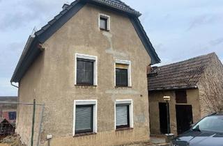 Einfamilienhaus kaufen in 04610 Meuselwitz, Meuselwitz - Bezugsfertiges Einfamilienhaus in ländlicher Lage