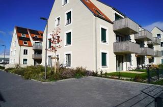 Wohnung kaufen in Erpolzheimer Straße 31, 67251 Freinsheim, Moderne 4-Zimmer-Wohnung im 1. OG (Neubau)