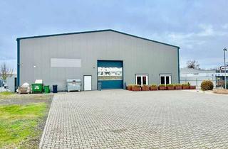 Gewerbeimmobilie kaufen in 64832 Babenhausen, AnlageobjektModerne Industrie- & Gewerbehalle mit Büro und Ausbaupotenzial!
