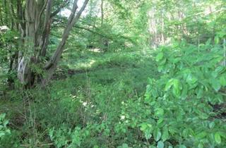 Grundstück zu kaufen in Bahrenwinkler Weg, 27711 Osterholz-Scharmbeck, kleine Waldfläche westlich der B 74