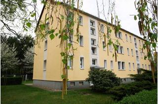 Wohnung mieten in Schulstraße 05, 04936 Hohenbucko, Frisch sanierte zwei Räume in Hohenbucko zu vermieten