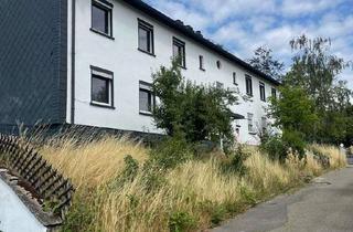 Wohnung mieten in Goethestr. 33, 55774 Baumholder, Neu sanierte 3- Zimmerwohnung mit Einbauküche und Garten