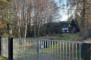 Einfamilienhaus kaufen in 14806 Bad Belzig, Bad Belzig - Freistehendes EFH auf 5600m2 Grund in mitten des Hohen Fläming