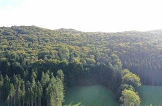 Grundstück zu kaufen in 91241 Kirchensittenbach, Waldstück mit 90% Buchenanteil bei Kirchensittenbach