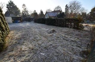 Grundstück zu kaufen in 15827 Blankenfelde-Mahlow, Baugrundstück in zweiter Reihe in Dahlewitz zu verkaufen!