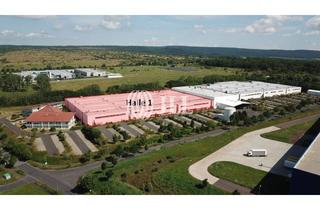Gewerbeimmobilie mieten in 99820 Hörselberg-Hainich, 10.000 m² Halle I Produktion & Logistik I A 4 I Lager-Produktion I sofort mietbar