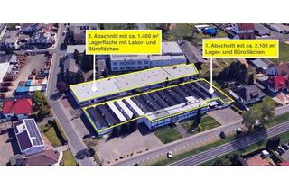 Gewerbeimmobilie mieten in 63533 Mainhausen, 654 m² Lager-/Service und Sozialfläche zu vermieten