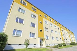 Wohnung mieten in Am Quellenberg B 9b, 01833 Dürrröhrsdorf-Dittersbach, Neu renovierte 1-Raumwohnung * neues Laminat * PKW-SP * Bad mit Dusche * ruhige Lage * TOP *