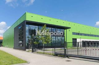 Gewerbeimmobilie mieten in 64546 Mörfelden-Walldorf, Neubauprojektierung Nähe A5 | ca. 7.500 m² moderne Logistikfläche | Bezug: Q3 2025