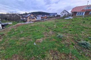 Grundstück zu kaufen in 35792 Löhnberg, Projektiertes Baugrundstück mit traumhafter Aussicht in einem OT von Löhnberg