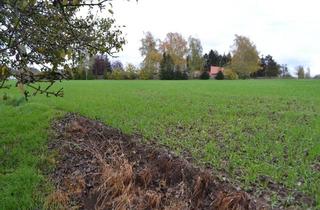 Gewerbeimmobilie kaufen in 04651 Bad Lausick, Landwirtschaftliche Fläche, zum Teil verpachtet, mit 499 m² Teich