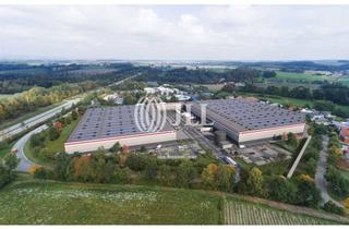 Gewerbeimmobilie mieten in 93354 Siegenburg, 30.000 m² hochwertige Hallenfläche ab Q1 2024 verfügbar – exklusiv und provisionsfrei über JLL