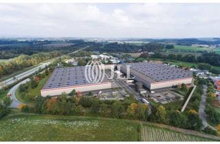 Gewerbeimmobilie mieten in 93354 Siegenburg, 30.000 m² hochwertige Hallenfläche – exklusiv und provisionsfrei über JLL
