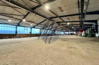 Gewerbeimmobilie mieten in 65520 Bad Camberg, SCHNELL VERFÜGBAR ✓ Lager-/Werkstatt (900 m²) zu vermieten