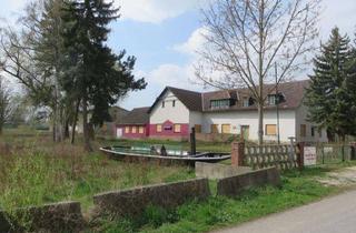 Gewerbeimmobilie mieten in Blütengrund, 06618 Naumburg, Betreiber / Investor gesucht - Blütengrund 2