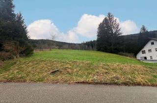 Grundstück zu kaufen in 72275 Alpirsbach, Großzügiges Baugrundstück in Alpirsbach-Ehlenbogen