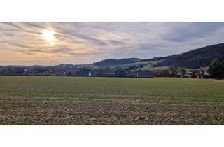 Grundstück zu kaufen in Im Witthausfeld, 32602 Vlotho, Voll erschloßenes Grundstück zu verkaufen