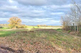 Grundstück zu kaufen in 21481 Buchhorst, Traumgrundstück in Ortsrandlage mit freiem Blick in die Natur