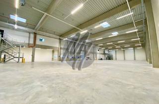 Büro zu mieten in 55294 Bodenheim, NEUBAU / ERSTBEZUG ✓ Lager (2.000 m²) & Büro-/Mezzanine (350 m²) zu vermieten