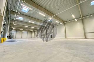 Büro zu mieten in 65474 Bischofsheim, NEUBAU / ERSTBEZUG ✓ Lager (1.000 m²) & Büro-/Mezzanine (200 m²) zu vermieten