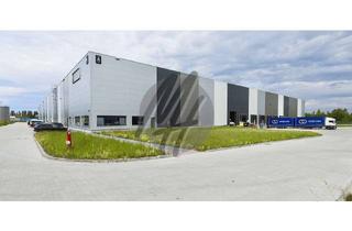 Büro zu mieten in 65474 Bischofsheim, NEUBAU / ERSTBEZUG ✓ Lager (1.500 m²) & Büro-/Mezzanine (250 m²) zu vermieten