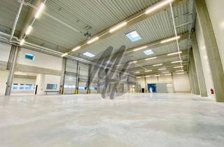 Büro zu mieten in 65474 Bischofsheim, NEUBAU / ERSTBEZUG ✓ Lager (3.000 m²) & Büro-/Mezzanine (700 m²) zu vermieten