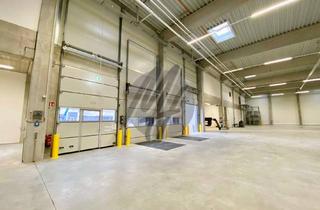 Büro zu mieten in 55294 Bodenheim, NEUBAU / ERSTBEZUG ✓ Lager (1.000 m²) & Büro-/Mezzanine (200 m²) zu vermieten