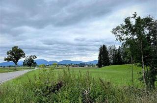 Grundstück zu kaufen in 82387 Antdorf, Weideland / Pferdewiese / Landwirtschaft mit Viehunterstand und Bergblick!