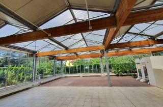 Mehrfamilienhaus kaufen in 09217 Burgstädt, Schönes Mehrfamilienhaus + Glasanbau