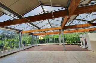 Mehrfamilienhaus kaufen in 09217 Burgstädt, Schönes Mehrfamilienhaus + Glasanbau