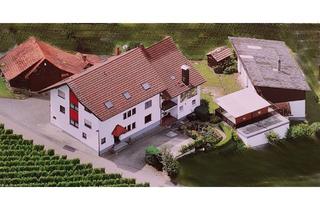 Haus kaufen in 77880 Sasbach, mietfreies MFH (3-5 Whg.), Nebengebäuden + Garagen