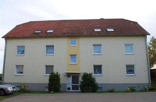 Wohnung mieten in 04774 Dahlen, 2-Raum-Wohnung in ruhiger Wohnlage von Schmannewitz