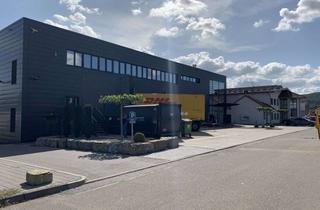 Gewerbeimmobilie mieten in 74629 Pfedelbach, Produktions-/Logistikflächen in 74629 Pfedelbach (Öhringen) (Objekt 002/31 )
