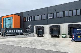 Gewerbeimmobilie mieten in 49716 Meppen, Neubau Lager- und Logistikhalle mit optimaler Anbindung