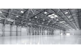 Gewerbeimmobilie mieten in 04451 Borsdorf, Logistikneubau in Sichtlage zur BAB 14