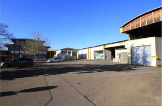 Büro zu mieten in 89407 Dillingen, Vielseitiges Gewerbeareal mit modernem Bürogebäude