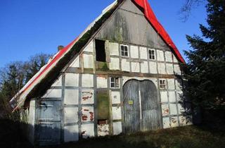 Bauernhaus kaufen in 21726 Oldendorf, Oldendorf - Denkmalgeschütztes Reetdachhaus, Bauernhaus, Resthof