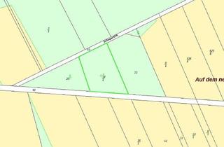 Grundstück zu kaufen in Schapertrift (Flur 1; Flurstück 14/1), 29353 Ahnsbeck, Grundstück mit Baumbestand westlich von Ahnsbeck