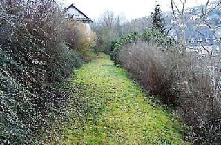 Grundstück zu kaufen in 57567 Daaden, **Grundstück mit viel Natur und trotzdem zentral**