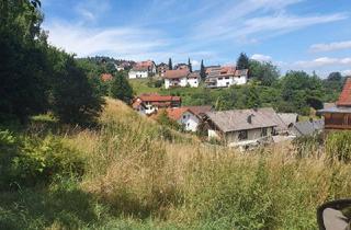 Grundstück zu kaufen in 77830 Bühlertal, BÜHLERTAL: Traumhaftes WOHNGRUNDSTÜCK 1464 m2, teilweise im Landschaftsschutzgebiet mit unverbaubarer Aussichtslage
