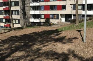 Wohnung mieten in Zur Zinsenbach 50, 57076 Siegen, 4-Zimmer-Wohnung in Siegen Weidenau