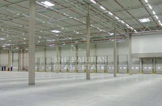 Gewerbeimmobilie mieten in 37235 Hessisch Lichtenau, Neubau-Logistikimmobilie mit Anbindung an die A44
