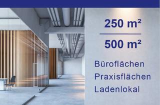 Gewerbeimmobilie kaufen in 64354 Reinheim, 500 m² - Top modernes Ladenlokal in bester Lage von Reinheim