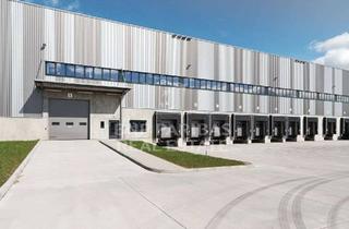 Gewerbeimmobilie mieten in 68775 Ketsch, Erstbezug || Lager- und Logistikflächen direkt an der A6